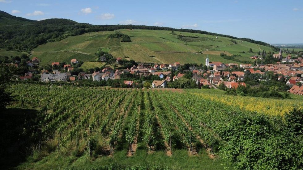 Les Grands Chais de France presenta SecretsdeCave.com la piattaforma che propone un viaggio sensoriale tra vini, terroir ed esperienze enologiche offerte dalle Maison del Gruppo francese