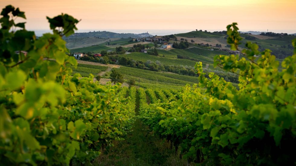 OltreGusto Oltrepò Terra di Pinot Nero