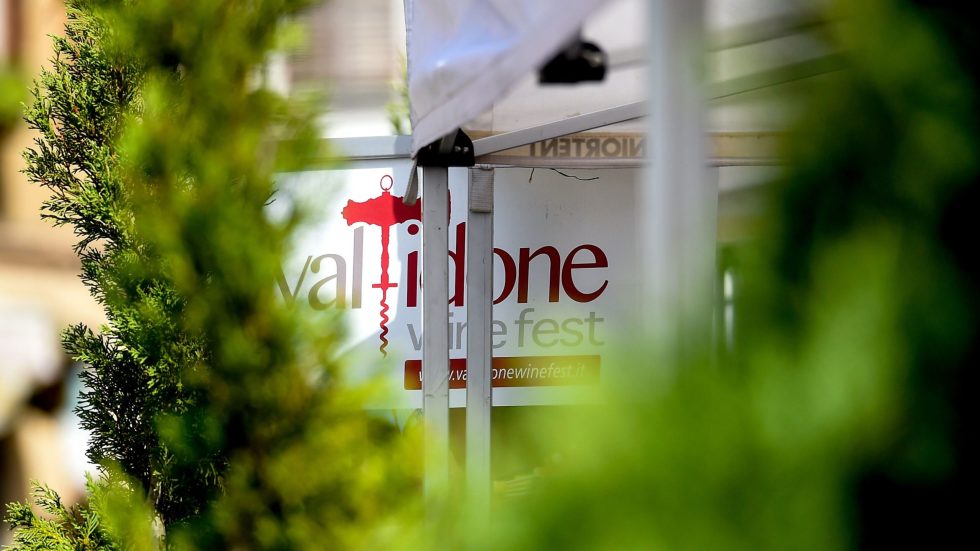 Il gusto lento del vino. Settembre in Emilia, tra vigne, castelli e Grande Fiume