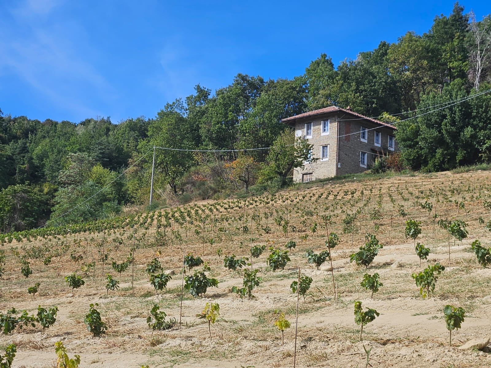 Ritorno in Alta Langa