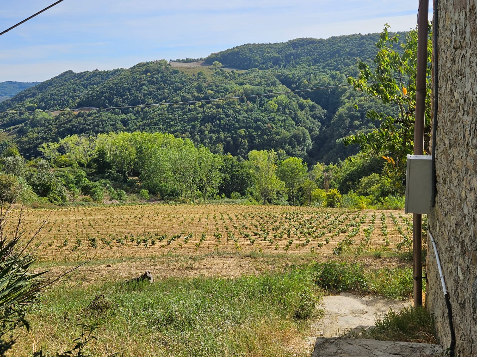 Ritorno in Alta Langa