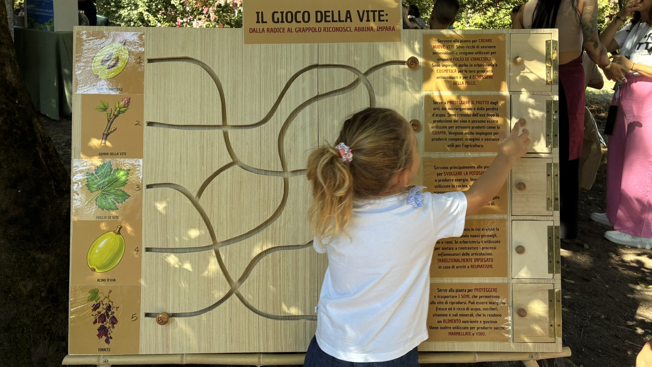 La festa che precede il vino. La Vendemmiata romana