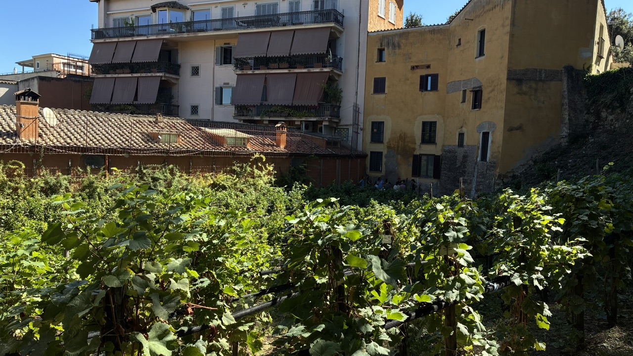 La festa che precede il vino. La Vendemmiata romana