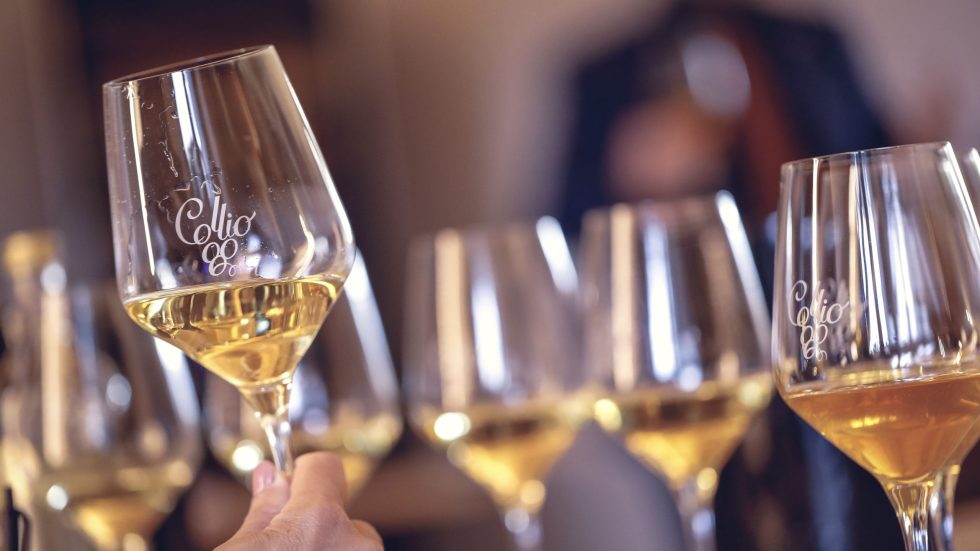 Un autunno di confronti per il Consorzio Collio: Collio Evolution, il grande appuntamento istituzionale della Denominazione, torna con la seconda edizione dedicata al Pinot Grigio