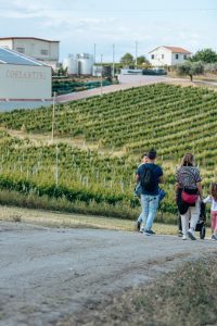 Poderi Costantini Città Sant'Angelo