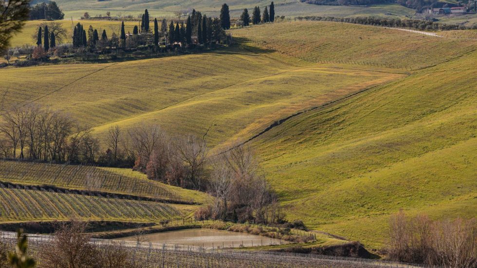 Nella cantina storica di Talosa riemerge un mare di cinque milioni di anni fa