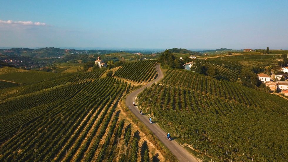 Tartufo, vigne a colori e cantine aperte nel monferrato acquese: autunno lento nelle terre del consorzio tutela vini d’acqui