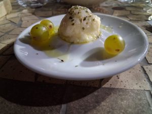 Moscato di Terracina. Patrimonio Vivo: dalla terra all'Arca, la rinascita di un'uva millenaria