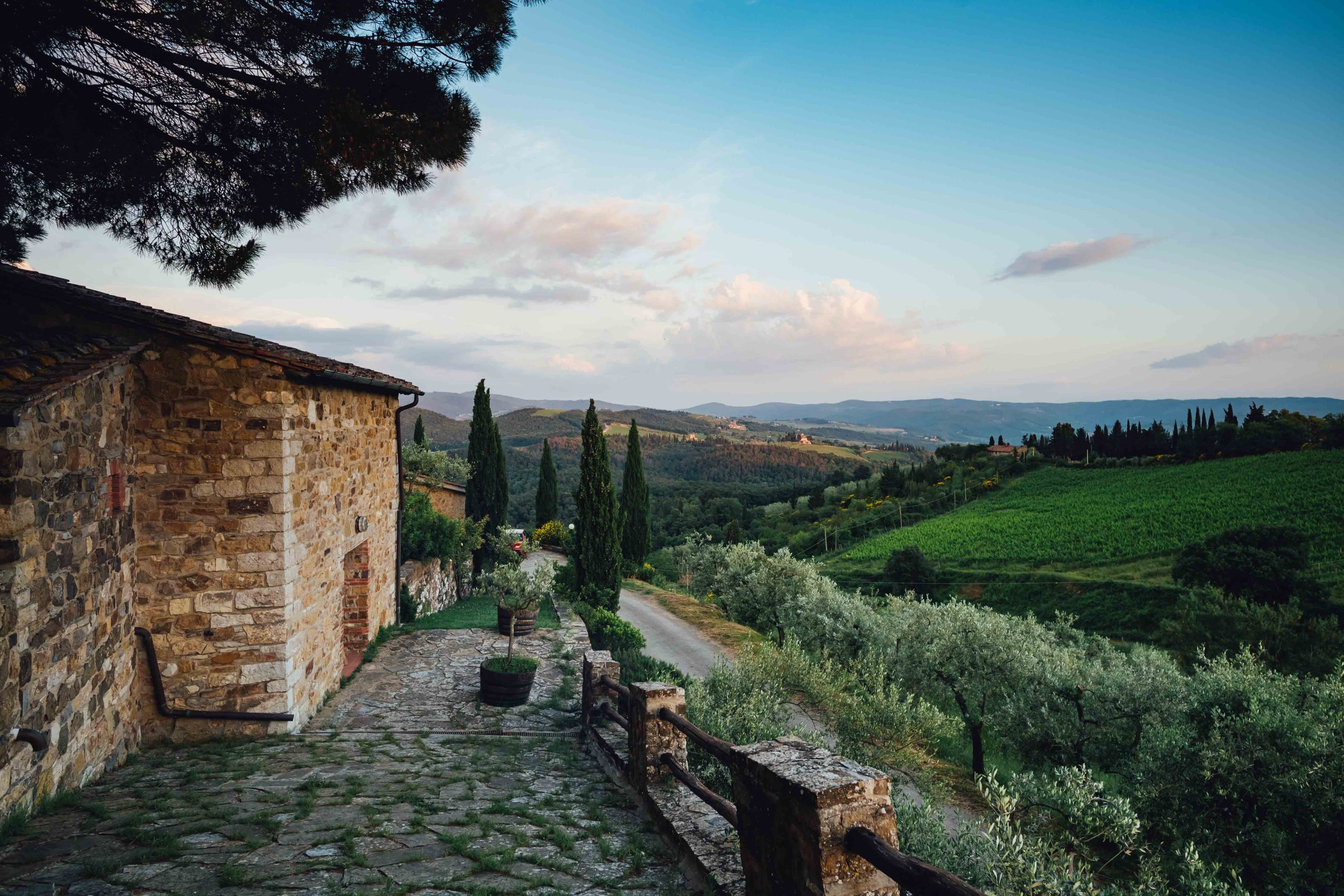 Vecchie Terre di Montefili. Serena Gusmeri, la terra su cui scegliere di restare