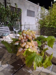Moscato di Terracina. Patrimonio Vivo: dalla terra all'Arca, la rinascita di un'uva millenaria
