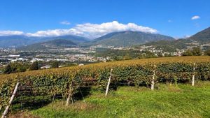 Terre del Lagorai Castel Ivano