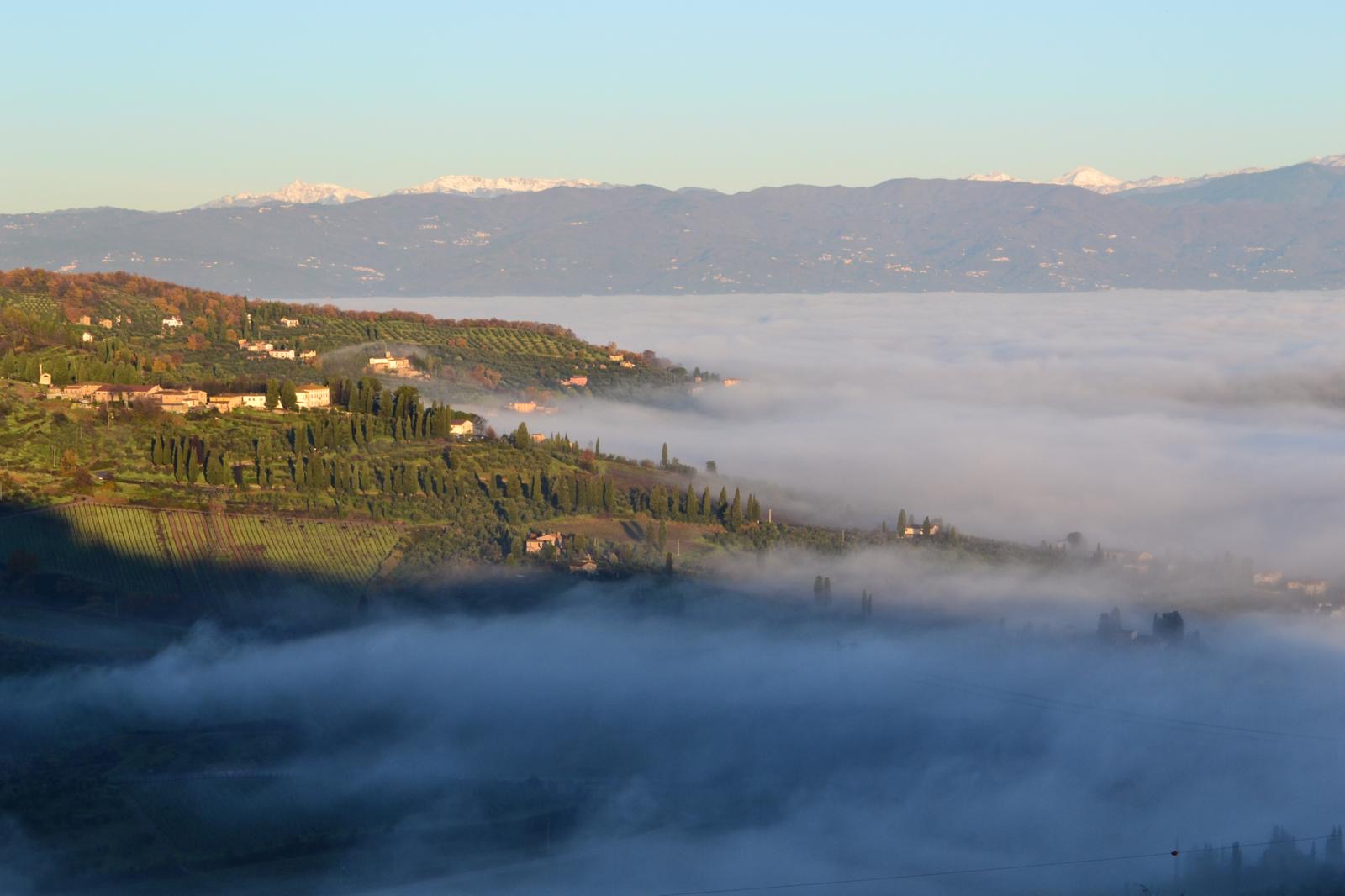 Tenuta di Capezzana