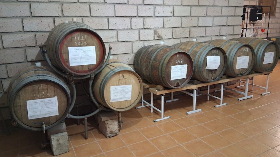 Malvasia di Bosa