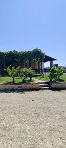 Colle Ciocco Montefalco