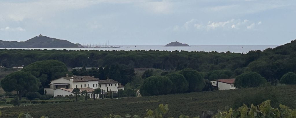 torre civette stendhal e i fili di arianna