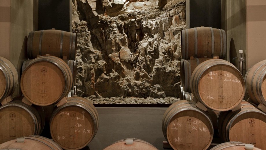 Wine Experience: un’autobiografia identitaria