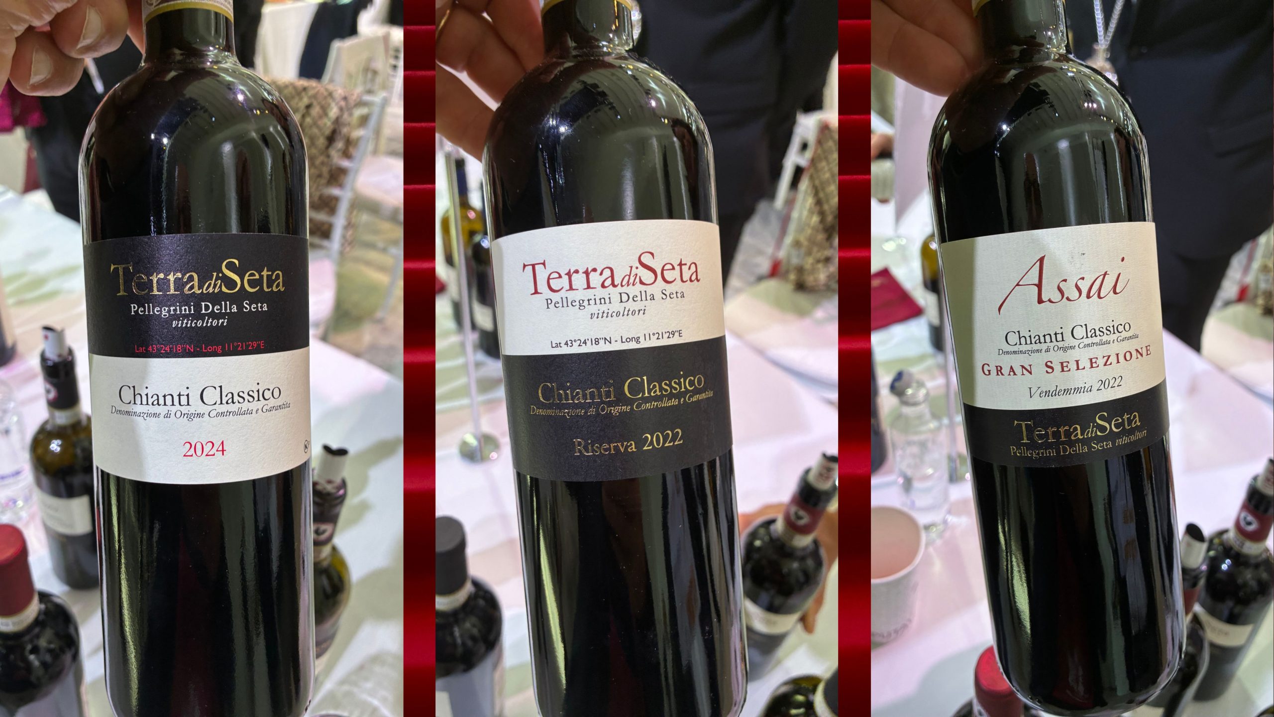 Guida Essenziale ai Vini d’Italia 2027 a Roma