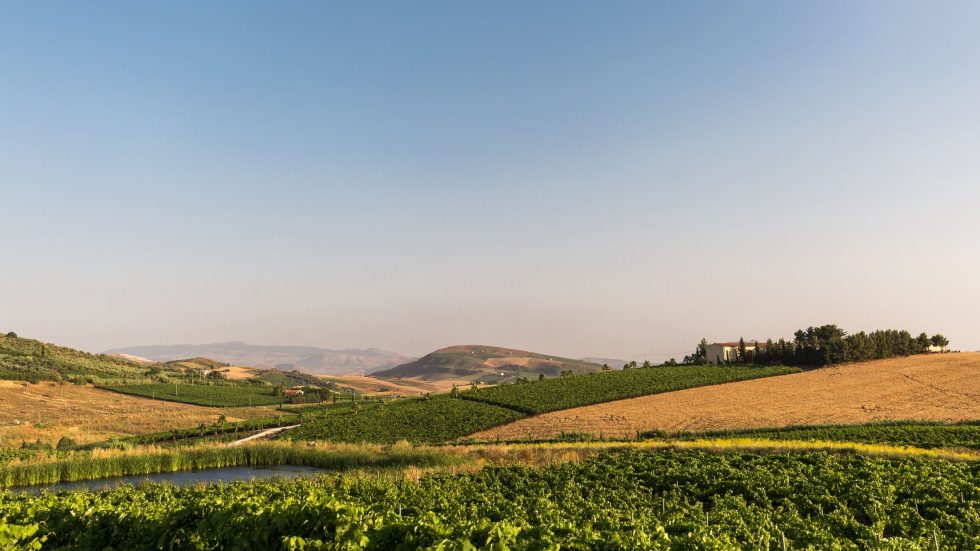 La Sicilia è stata nominata Regione Vinicola Internazionale dell'Anno 2026 da Wine Enthusiast